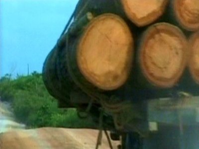 DEFORESTACION 11  RADIACTIVO